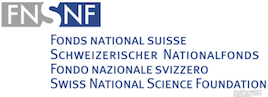 Logo SNF FNS